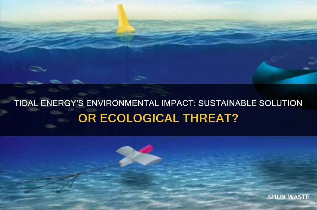 is tidal energy bad for the environment