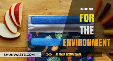 Is Tide Eco-Friendly? Uncovering Its Environmental Impact and Sustainability