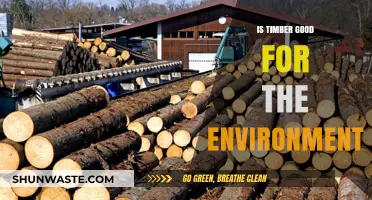 Timber's Environmental Impact: Sustainable Choice or Ecological Concern?