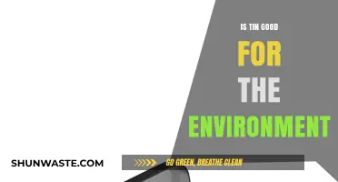 Is Tin Eco-Friendly? Exploring Its Environmental Impact and Sustainability