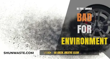 Tire Smoke's Environmental Impact: Harmful Emissions and Sustainable Solutions