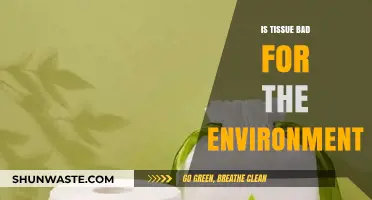 Is Tissue Harming Our Planet? Environmental Impact Explored