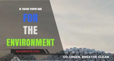 Is Tissue Paper Eco-Friendly? Uncovering Its Environmental Impact and Sustainability