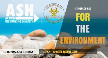 Tobacco's Environmental Impact: Harmful Effects on Our Planet Explained