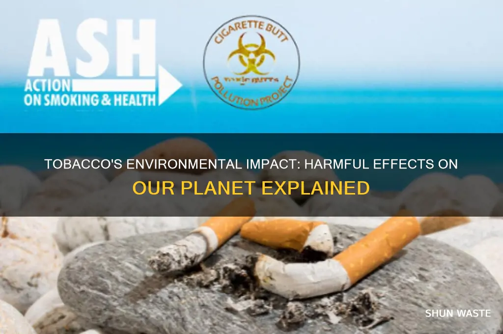 is tobacco bad for the environment