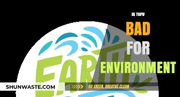 Is Tofu Eco-Friendly? Uncovering Its Environmental Impact and Sustainability