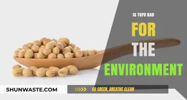 Is Tofu Eco-Friendly? Uncovering Its Environmental Impact and Sustainability