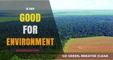 Is Tofu Eco-Friendly? Exploring Its Environmental Impact and Benefits