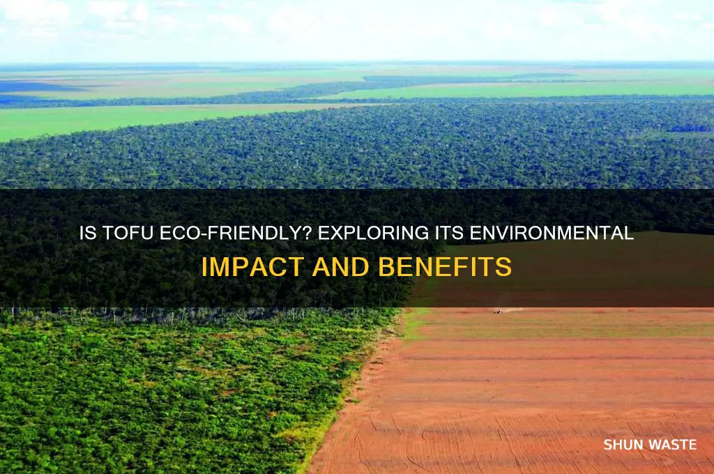 is tofu good for environment