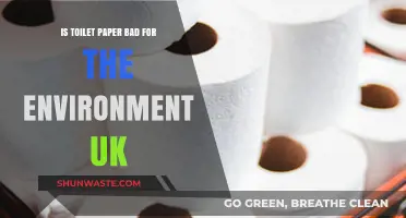 Is UK Toilet Paper Harming Our Environment? Sustainable Alternatives Explored