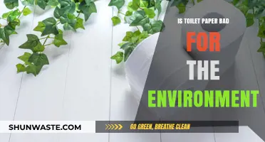 Is Toilet Paper Harming Our Planet? Eco-Friendly Alternatives Explored