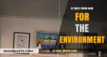 Eco-Friendly Flushing: Is Toilet Paper Sustainable for Our Planet?