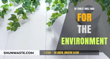 Toilet Roll's Environmental Impact: Sustainable Alternatives for a Greener Bathroom