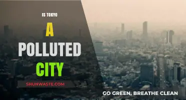 Tokyo's Pollution Problem: Is It Getting Better?