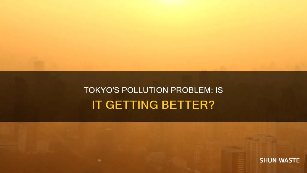 is tokyo a polluted city
