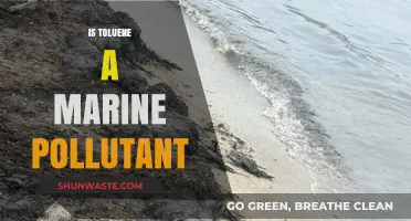 Toluene's Impact: Understanding Marine Pollution Risks