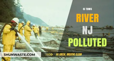 Toms River, NJ: A Polluted Paradise?