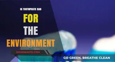 Is Your Toothpaste Harming the Planet? Eco-Friendly Oral Care Explained