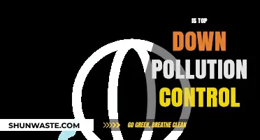 Effective Pollution Control: Top-Down Approach