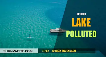 The Torch Lake Pollution Mystery