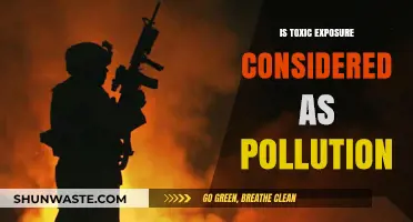 Toxic Exposure: A Hidden Pollution Problem