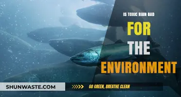 Toxic Rain's Environmental Impact: Harmful Effects and Long-Term Consequences