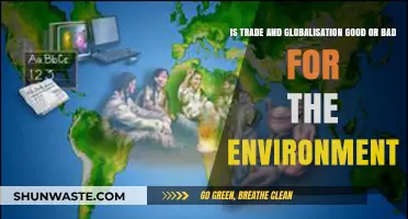 Trade, Globalization, and the Environment: Balancing Progress with Sustainability