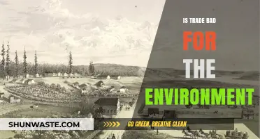 Trade's Environmental Impact: Balancing Global Commerce and Sustainability