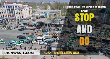 Traffic Speed: Stop-and-Go Pollution Problems