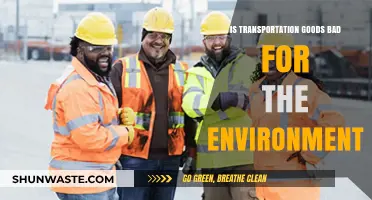 Transportation's Environmental Impact: Are Goods Delivery Methods Sustainable?
