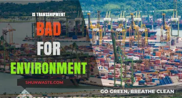 Transshipment's Environmental Impact: Uncovering the Hidden Costs of Global Trade