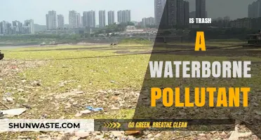 Trash and Water: A Polluting Partnership