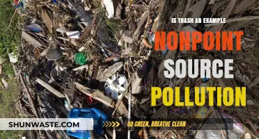 Trash and Nonpoint Source Pollution: Understanding the Impact