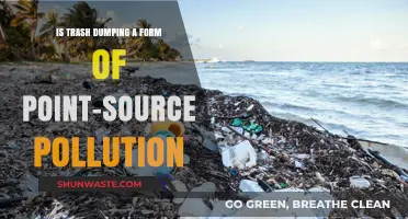 Trash Dumping: Point-Source Pollution's Impact