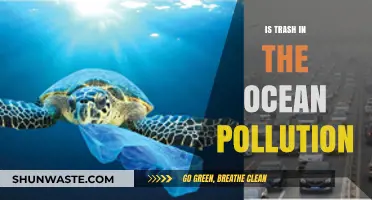 Ocean Trash: An Unseen Pollution Crisis
