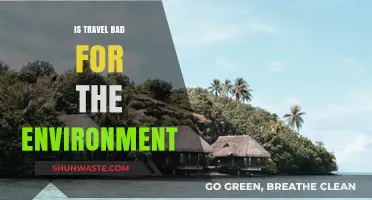Travel's Environmental Impact: Sustainable Solutions for Eco-Conscious Explorers
