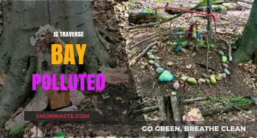 The Pollution Problem of Traverse Bay
