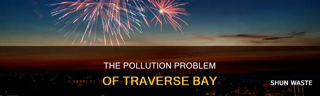 is traverse bay polluted