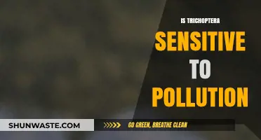 Trichoptera: Pollution Sensitivity and Resilience