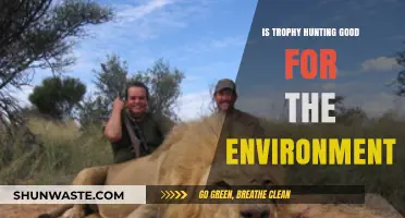Trophy Hunting: Environmental Conservation or Ecological Exploitation?