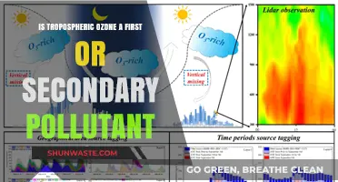 Ozone's Dual Nature: Primary or Secondary Pollutant?