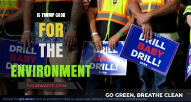 Trump's Environmental Impact: A Critical Analysis of Policies and Outcomes