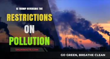 Trump's Pollution Policy: Reversing Environmental Protections?