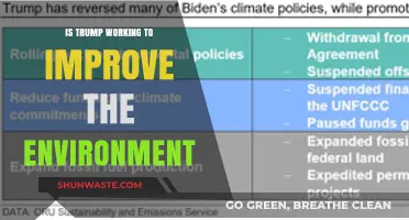 Trump's Environmental Policies: Progress or Peril for Our Planet?