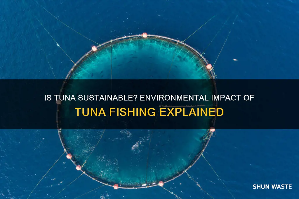 is tuna bad for the environment