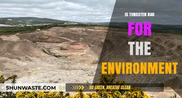 Tungsten's Environmental Impact: Uncovering Its Ecological Footprint and Sustainability