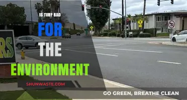 Is Turf Eco-Friendly? Uncovering the Environmental Impact of Artificial Grass