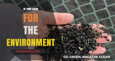 Is Turf Eco-Friendly? Exploring Environmental Impacts and Benefits