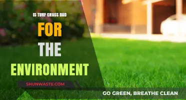 Turf Grass Environmental Impact: Harmful or Harmless for Our Planet?