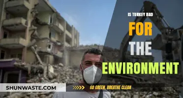 Turkey's Environmental Impact: Sustainable or Harmful for Our Planet?